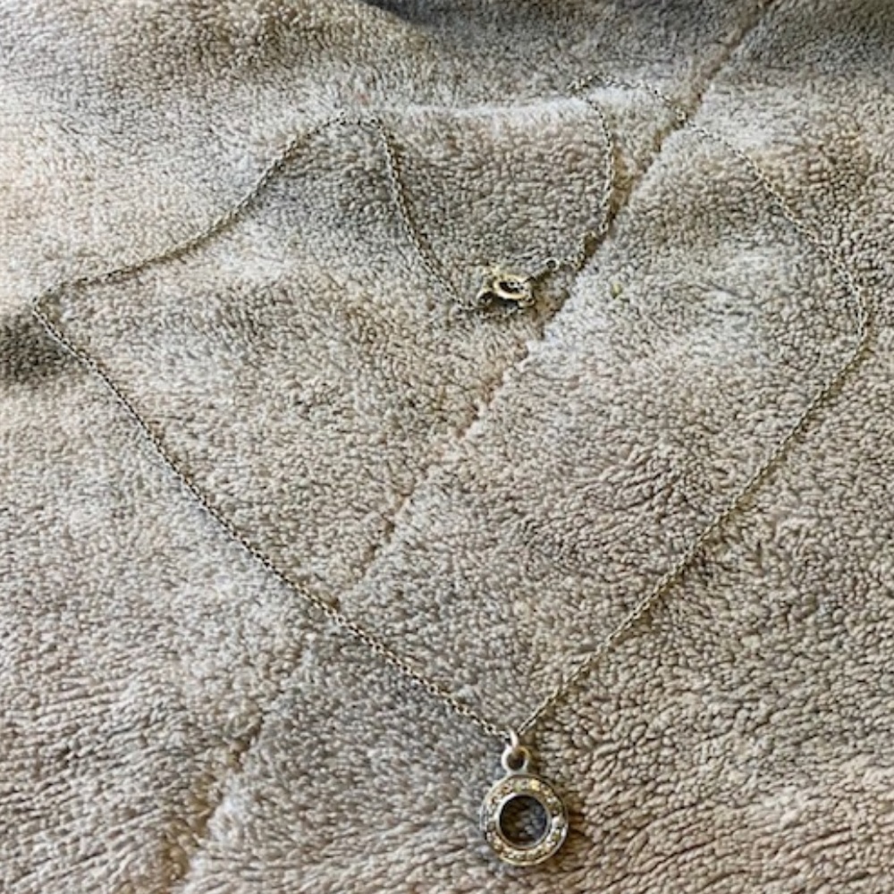 Sterling Silver Petite Diamond CIrcle Necklace 16"